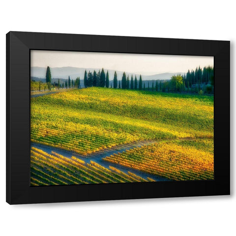 Italy-Chianti Vineyard in autumn in the Chianti region of Tuscany Black Modern Wood Framed Art Print with Double Matting by Eggers, Julie
