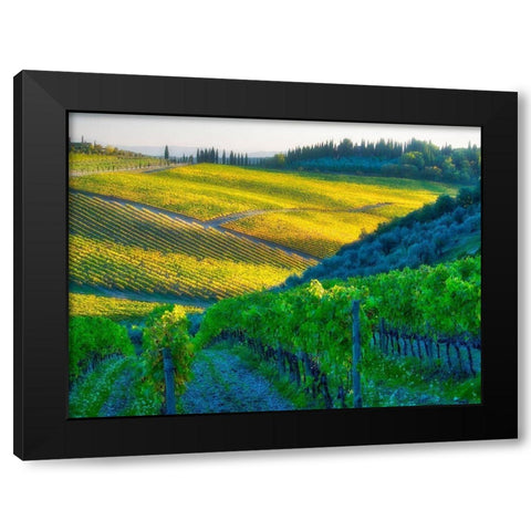 Italy-Chianti Vineyard in autumn in the Chianti region of Tuscany Black Modern Wood Framed Art Print with Double Matting by Eggers, Julie
