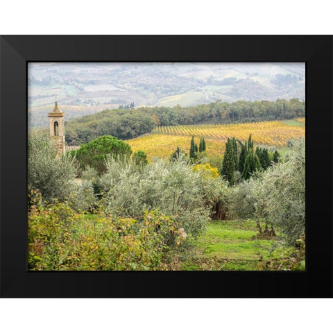 Italy-Chianti Pieve di Santa Maria Novella near Radda in Chianti Black Modern Wood Framed Art Print by Eggers, Julie