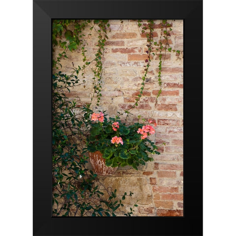 Italy-Tuscany-Montepulciano Geranium growing in a pot against an old brick building Black Modern Wood Framed Art Print by Eggers, Julie