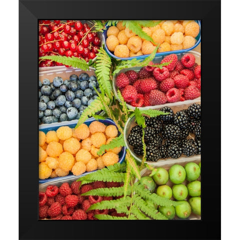 Italy-Venice A variety of berries on display and for sale in the Rialto Market Black Modern Wood Framed Art Print by Eggers, Julie