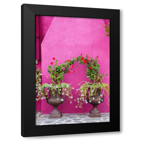 Italy-Venice-Burano Island Urns planted with flowers against a bright pink wall on Burano Island Black Modern Wood Framed Art Print by Eggers, Julie