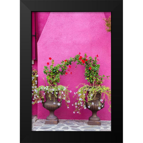 Italy-Venice-Burano Island Urns planted with flowers against a bright pink wall on Burano Island Black Modern Wood Framed Art Print by Eggers, Julie