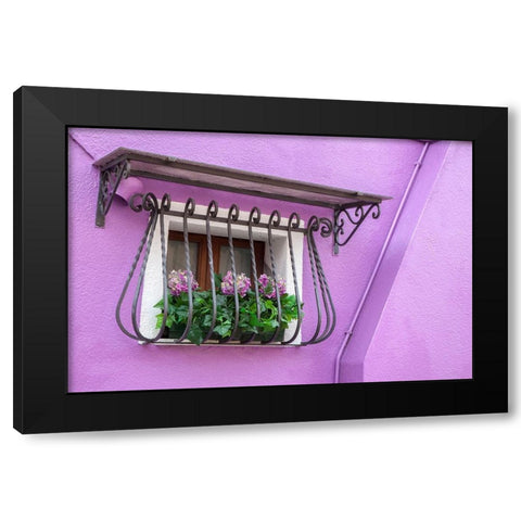 Italy-Venice-Burano Island Potted hydrangeas on a window sill of a lavender house Black Modern Wood Framed Art Print by Eggers, Julie