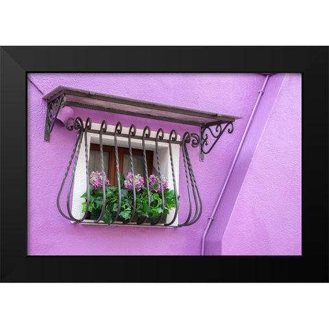 Italy-Venice-Burano Island Potted hydrangeas on a window sill of a lavender house Black Modern Wood Framed Art Print by Eggers, Julie