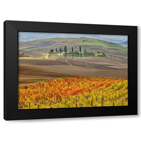 Italy-Tuscany Colorful vineyard in autumn Black Modern Wood Framed Art Print with Double Matting by Eggers, Julie