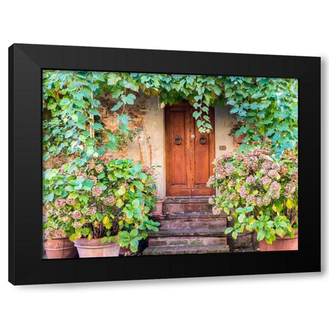 Italy-Tuscany-Pienza Doorway surrounded by flowers Black Modern Wood Framed Art Print with Double Matting by Eggers, Julie
