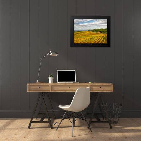 Italy-Tuscany Colorful vineyard in autumn Black Modern Wood Framed Art Print by Eggers, Julie