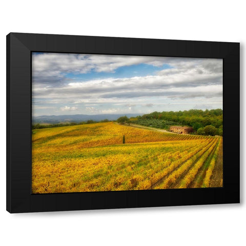Italy-Tuscany Colorful vineyard in autumn Black Modern Wood Framed Art Print by Eggers, Julie