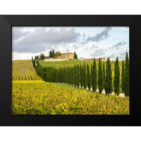 Italy-Tuscany Road lined with Italian cypress trees leading to a villa Black Modern Wood Framed Art Print by Eggers, Julie