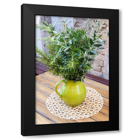Italy- Umbria- Montefalco. Flower pot display of fresh herbs. Black Modern Wood Framed Art Print with Double Matting by Eggers, Julie