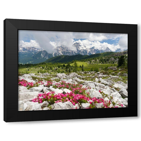 Croda da Lago in the Dolomites of the Veneto near Cortina dAmpezzo-view towards Sorapis Black Modern Wood Framed Art Print with Double Matting by Zwick, Martin