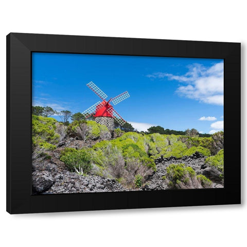 Traditional windmill near Sao Joao Pico Island-an island in the Azores in the Atlantic Ocean  Black Modern Wood Framed Art Print by Zwick, Martin