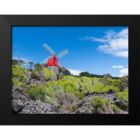 Traditional windmill near Sao Joao Pico Island-an island in the Azores in the Atlantic Ocean  Black Modern Wood Framed Art Print by Zwick, Martin