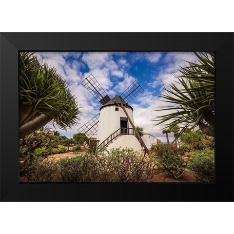 Canary Islands-Fuerteventura Island-Antigua-traditional island windmill Black Modern Wood Framed Art Print by Bibikow, Walter