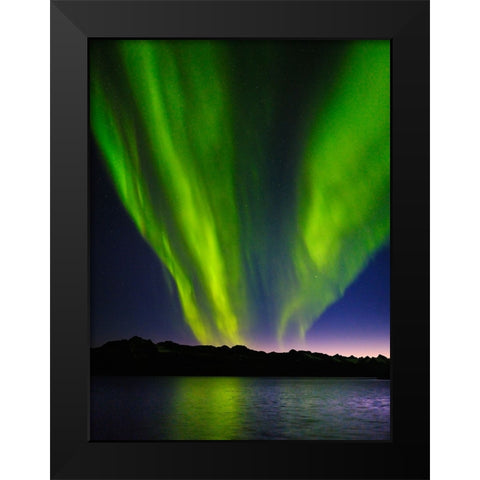 Northern lights over Angmagssalik Fjord-Greenland- Danish Territory Black Modern Wood Framed Art Print by Zwick, Martin