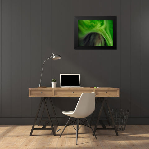 Northern lights over Angmagssalik Fjord-Greenland- Danish Territory Black Modern Wood Framed Art Print by Zwick, Martin