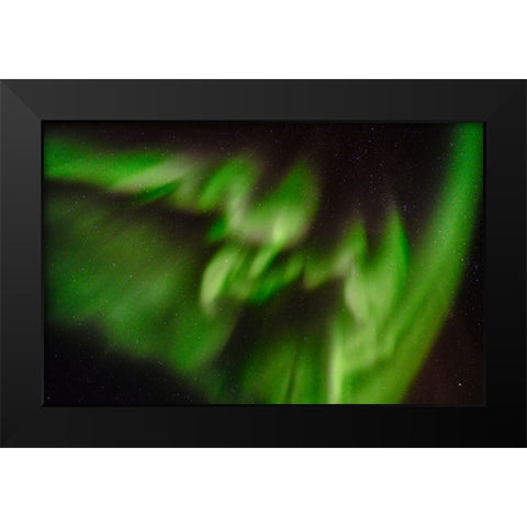 Northern lights over Angmagssalik Fjord-Greenland- Danish Territory Black Modern Wood Framed Art Print by Zwick, Martin