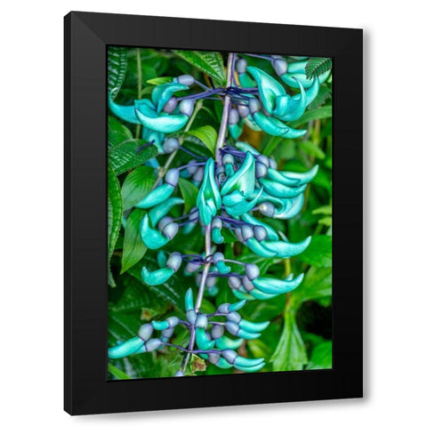 Jade vine Black Modern Wood Framed Art Print by Engelbrecht, Lisa S.