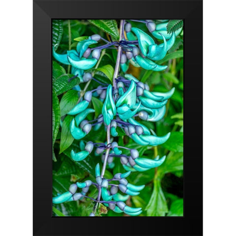 Jade vine Black Modern Wood Framed Art Print by Engelbrecht, Lisa S.