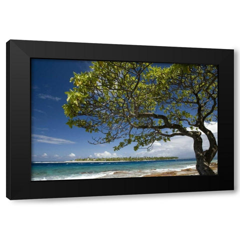 French Polynesia, Rangiroa Tree on the shore Black Modern Wood Framed Art Print by Kaveney, Wendy