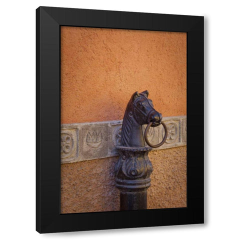 Mexico Horse ring, Guanajuato, Mexico Black Modern Wood Framed Art Print by Paulson, Don