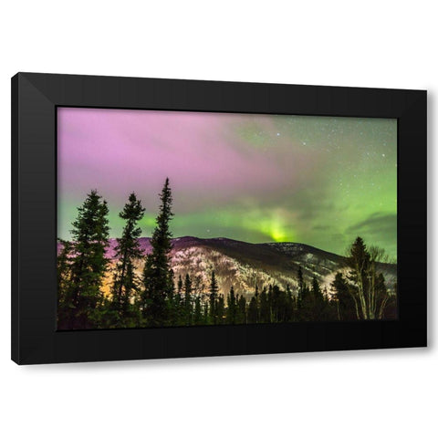 Alaska-Fairbanks Aurora borealis over mountain landscape Black Modern Wood Framed Art Print by Jaynes Gallery