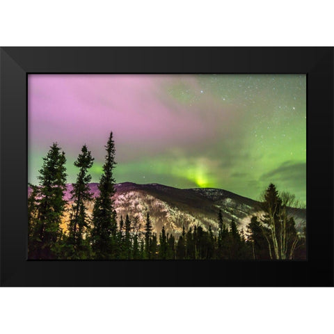 Alaska-Fairbanks Aurora borealis over mountain landscape Black Modern Wood Framed Art Print by Jaynes Gallery
