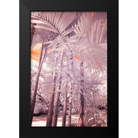 USA-Hawaii-Kauai-Infrared of palm trees of Kauai Black Modern Wood Framed Art Print by Eggers, Terry