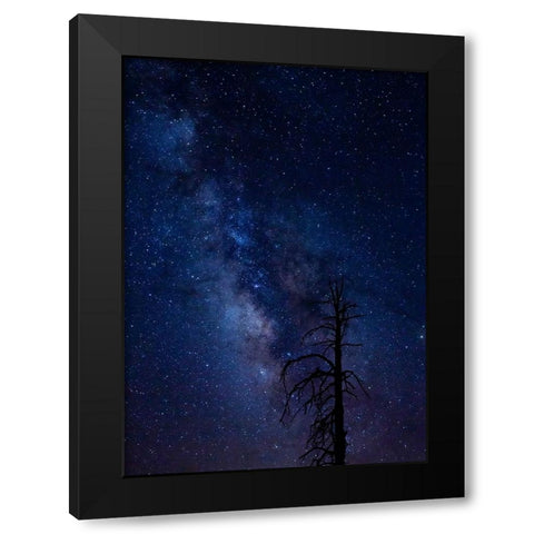 Milky way over the Carson National Forest-Tres Piedras-New Mexico Black Modern Wood Framed Art Print by Pryor-Luzier, Maresa