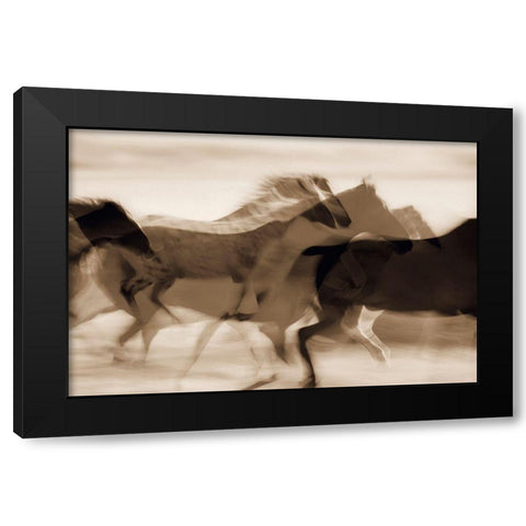 Sepia abstract of wild mustangs (Equus caballus) running Oregon-USA Black Modern Wood Framed Art Print by Westmorland, Stuart