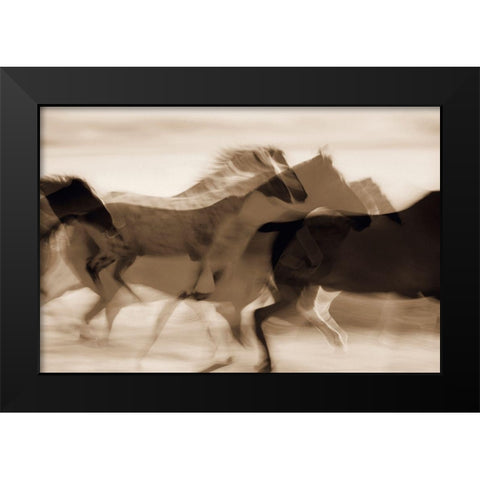Sepia abstract of wild mustangs (Equus caballus) running Oregon-USA Black Modern Wood Framed Art Print by Westmorland, Stuart