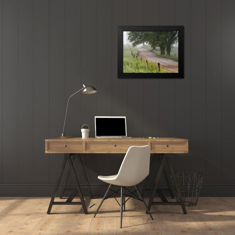 Tennessee, Great Smoky Mts A road in Cades Cove Black Modern Wood Framed Art Print by Flaherty, Dennis