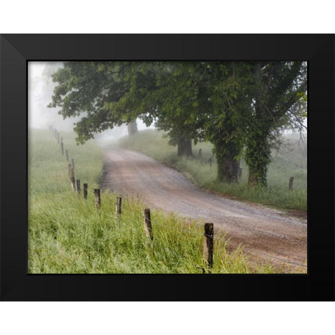 Tennessee, Great Smoky Mts A road in Cades Cove Black Modern Wood Framed Art Print by Flaherty, Dennis