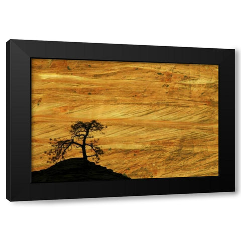 UT, Zion NP The silhouette of a small tree Black Modern Wood Framed Art Print by Kaveney, Wendy