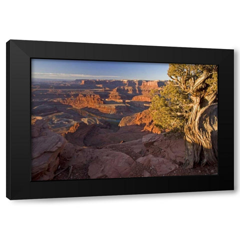 Utah, Dead Horse Point SP Sunrise on the park Black Modern Wood Framed Art Print with Double Matting by Illg, Cathy and Gordon