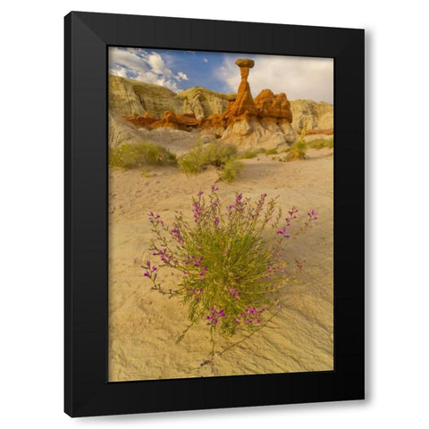 UT, Grand Staircase Escalante NM Flowers scenic Black Modern Wood Framed Art Print by Illg, Cathy and Gordon