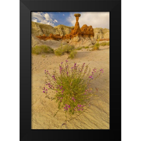 UT, Grand Staircase Escalante NM Flowers scenic Black Modern Wood Framed Art Print by Illg, Cathy and Gordon