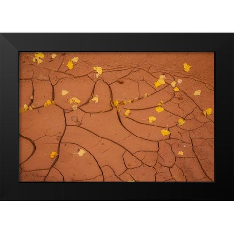 Utah, Capitol Reef Cracked mud and fall leaves Black Modern Wood Framed Art Print by Illg, Cathy and Gordon