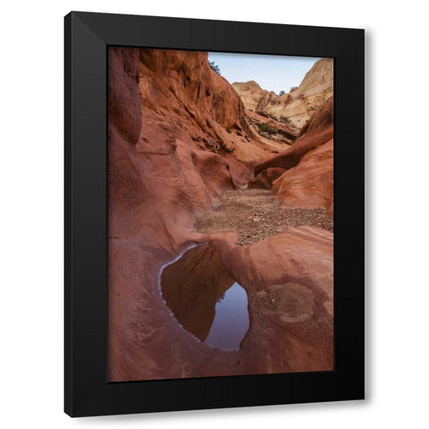 UT, Capitol Reef Lower Muley Twist Canyon pools Black Modern Wood Framed Art Print by Illg, Cathy and Gordon