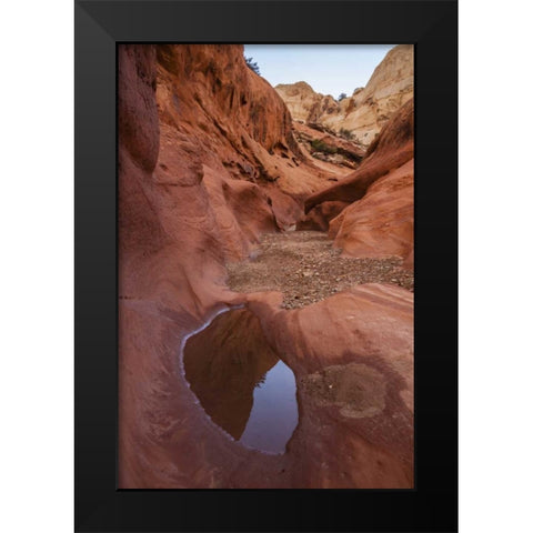 UT, Capitol Reef Lower Muley Twist Canyon pools Black Modern Wood Framed Art Print by Illg, Cathy and Gordon