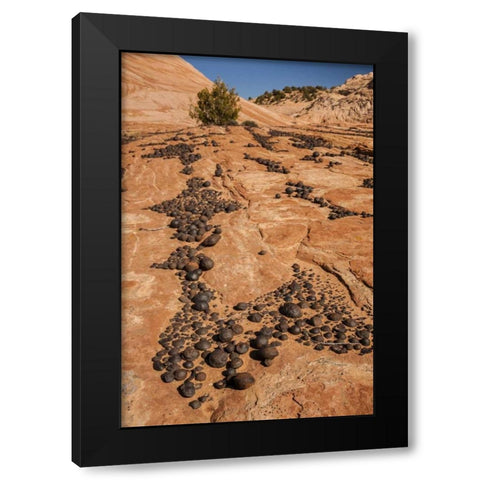 UT, Grand Staircase Escalante NM Moki marbles Black Modern Wood Framed Art Print by Illg, Cathy and Gordon