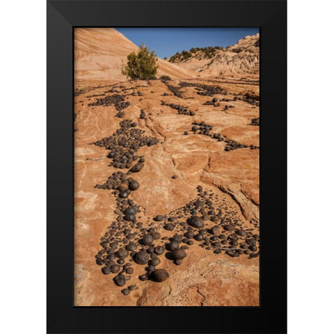 UT, Grand Staircase Escalante NM Moki marbles Black Modern Wood Framed Art Print by Illg, Cathy and Gordon