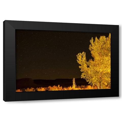 USA, Utah Stary night sky in autumn Black Modern Wood Framed Art Print by Illg, Cathy and Gordon