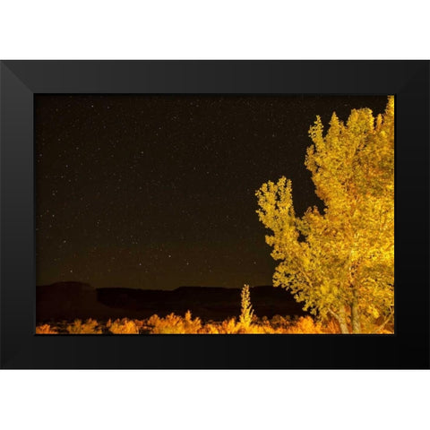 USA, Utah Stary night sky in autumn Black Modern Wood Framed Art Print by Illg, Cathy and Gordon