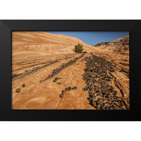 UT, Grand Staircase Escalante NM Moki marbles Black Modern Wood Framed Art Print by Illg, Cathy and Gordon