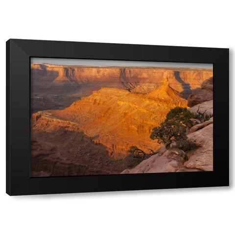 Utah, Dead Horse Point SP Sunrise on canyon Black Modern Wood Framed Art Print with Double Matting by Illg, Cathy and Gordon