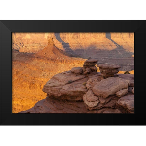 Utah, Dead Horse Point SP Sunrise on canyon Black Modern Wood Framed Art Print by Illg, Cathy and Gordon