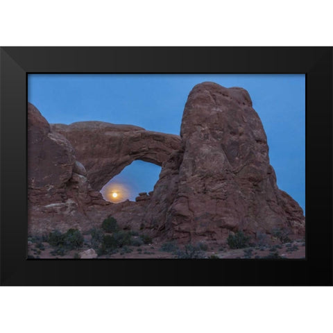UT, Arches NP South Window arch and full moon Black Modern Wood Framed Art Print by Illg, Cathy and Gordon