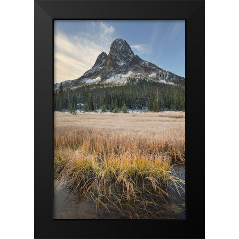 Liberty Bell Mountain and meadows of Washington State Pass North Cascades-Washington State Black Modern Wood Framed Art Print by Majchrowicz, Alan